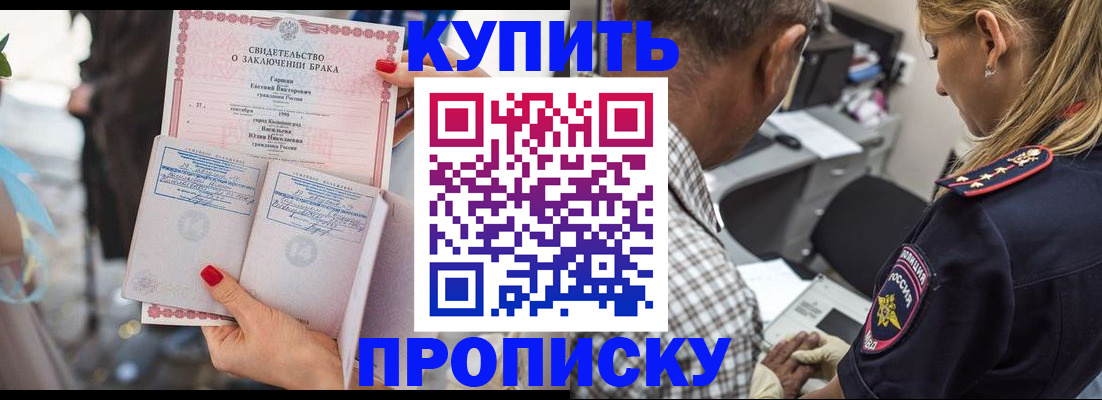 прописка законно в Сольцах